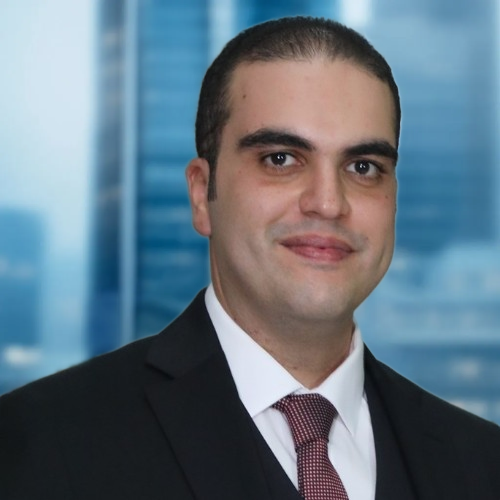 Mehdi Dridi